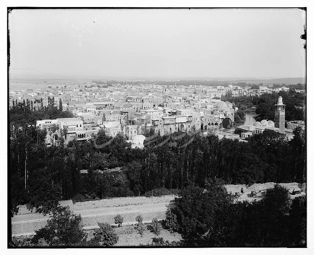 حماة