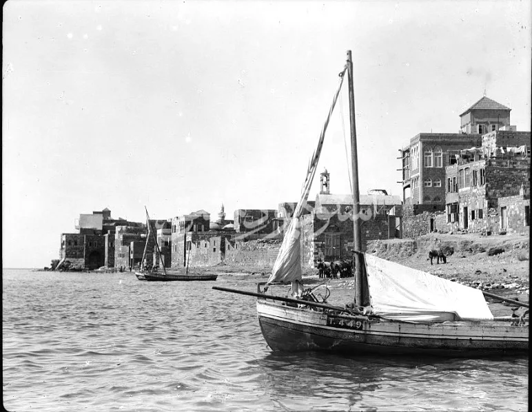 طرطوس