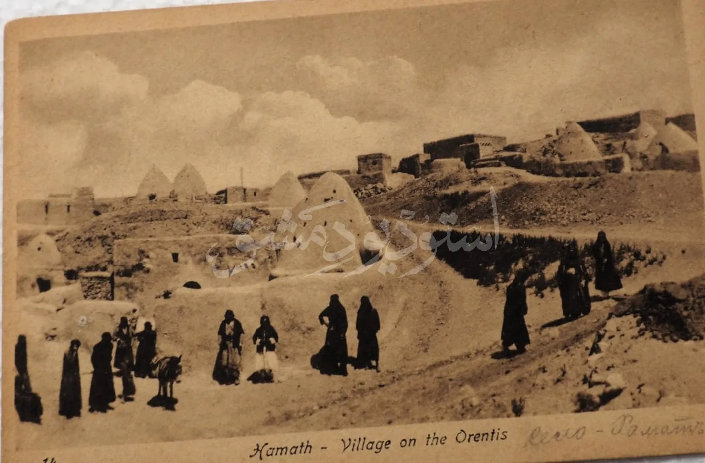حماة